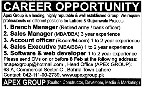 Apex Group Needs Managers, Accounts Officer, Sales Executive & Software & Web Developer