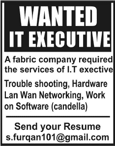 IT Executive Job at a Fabric Company