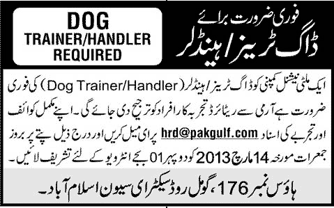 A Multinational Company Job for Dog Trainer / Handler