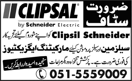 Sales and Marketing Jobs in Rawalpindi 2013 August Latest at Paracha Brothers (Clipsal Schneider Electric Distributor)