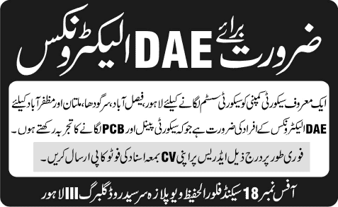 DAE Electronics Jobs in Pakistan 2013 November for Security Company