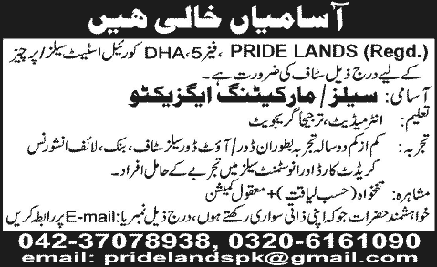 Sales / Marketing Executives Jobs in Lahore 2013 December for Real Estate Sales / Purchase at Pride Lands