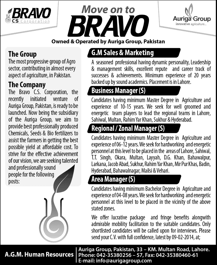 Bravo - Auriga Group Pakistan Jobs 2014 for Managers
