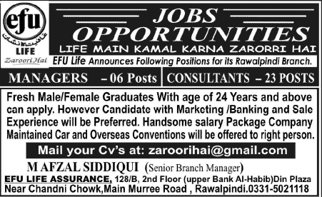 EFU Life Assurance Jobs 2014 May for Managers & Consultants