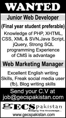 Web Marketing Manager & Junior Web Developer Jobs in Karachi 2014 May at GECS Pakistan