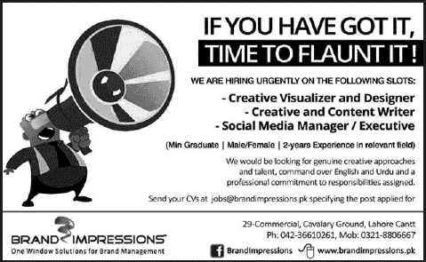 Brand Impressions (Pvt.) Ltd Lahore Jobs 2014 July for Graphic Designer, Content Writer & Social Media Manager / Executive