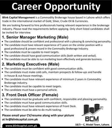 Blink Capital Management Lahore Jobs 2015 November Marketing Manager / Executives & Front Desk Officer