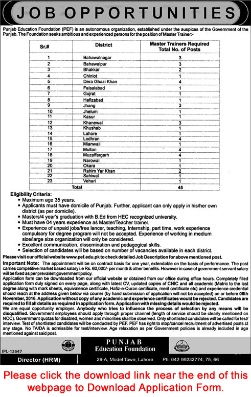 Master Trainer Jobs in Punjab Education Foundation October 2016 Application Form Download Latest