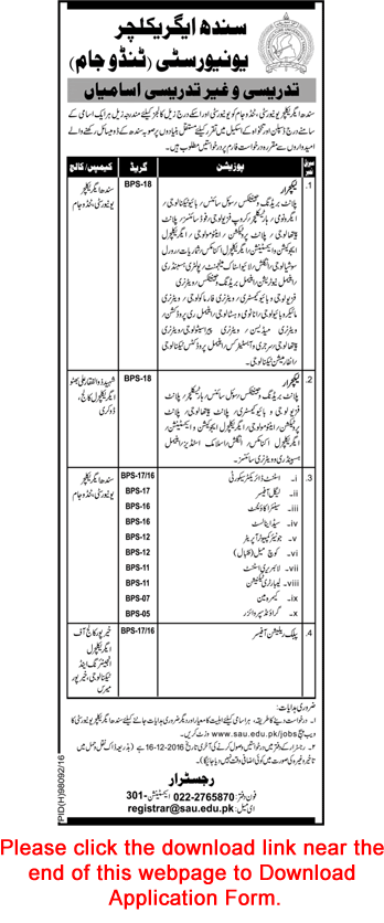 Sindh Agriculture University Tandojam Jobs November 2016 Application Form Teaching Faculty & Others Latest