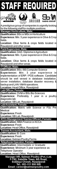 Salman Poultry Pvt Ltd Pakistan Jobs 2018 April Lab Officer / Assistant, IT Officer & Others Latest