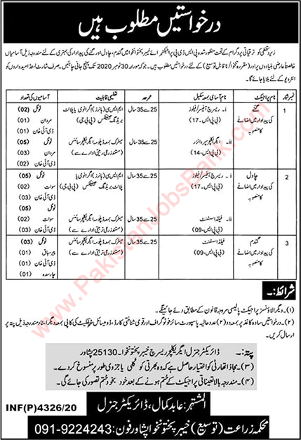 Agriculture Department KPK Jobs November 2020 Field Assistants & Others Latest