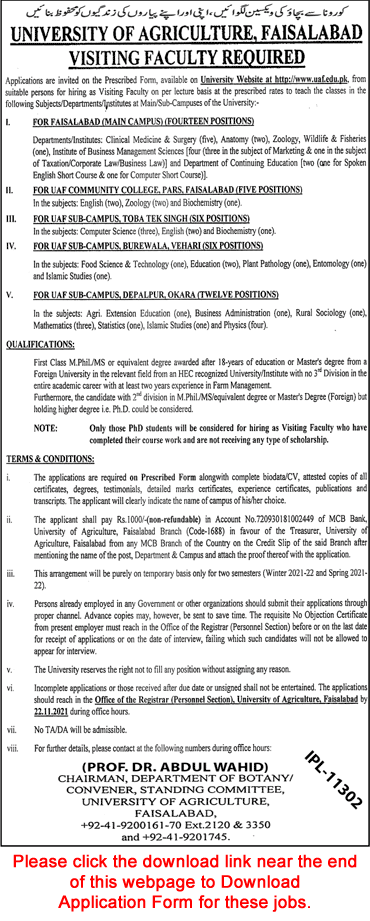 Visiting Faculty Jobs in University of Agriculture Faisalabad November 2021 UAF Application Form Latest