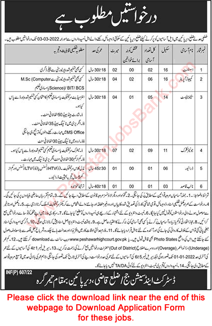 District and Session Court Lower Dir Jobs 2022 January / February Application Form Clerks, Stenotypists & Others Latest
