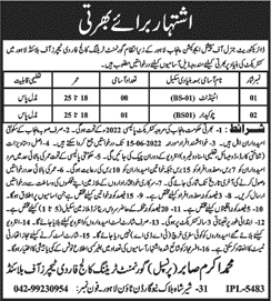 Directorate General of Special Education Lahore Jobs May 2022 June Attendants & Chowkidar Latest