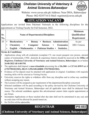 Visiting Faculty Jobs in Cholistan University of Veterinary and Animal Sciences Bahawalpur August 2022 Latest