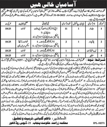 Agriculture Department Punjab Jobs 2022 October Baildar & Others Latest