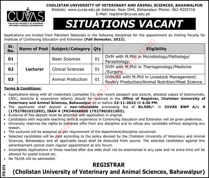 Lecturer Jobs in Cholistan University of Veterinary and Animal Sciences Bahawalpur November 2022 CUVAS Latest