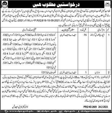 Directorate of Sports Balochistan Jobs 2023 February Football Ground Incharge & Warden Latest