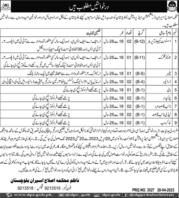 Reclamation and Probation Department Balochistan Jobs 2023 April Naib Qasid & Others Latest