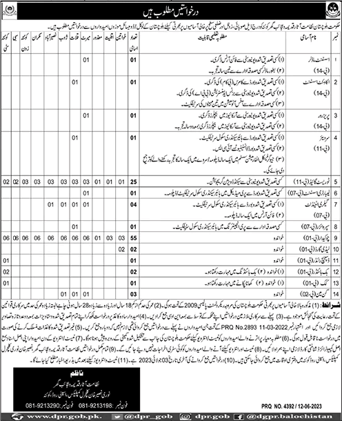 Directorate of Archaeology and Museums Balochistan Jobs June 2023 Chowkidar, Tourist Guide & Others Latest