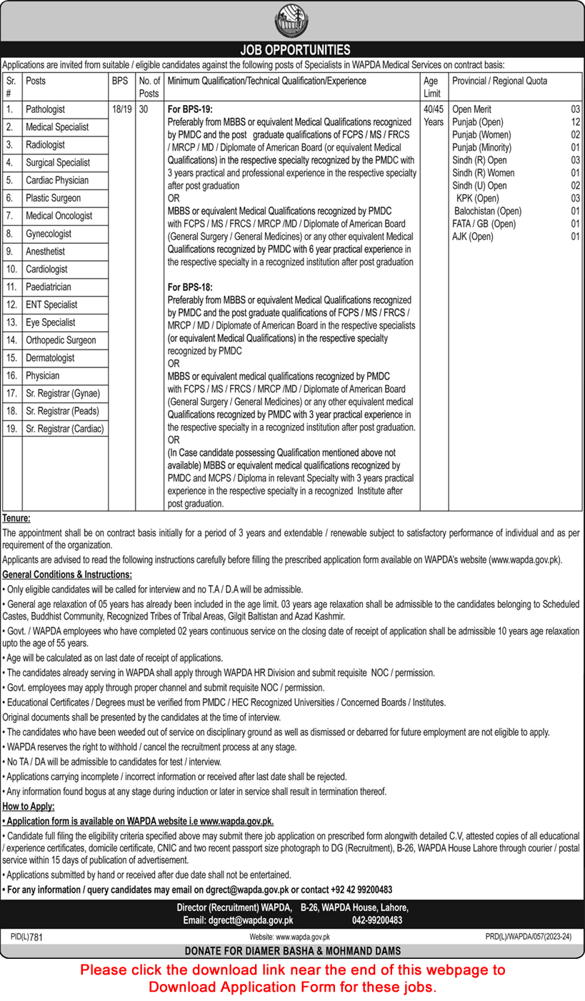 Specialist Doctor Jobs in WAPDA September 2023 Application Form Medical Services Latest