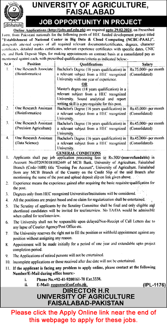 University of Agriculture Faisalabad Jobs February 2024 UAF Online Apply Research Assistants / Associate Latest