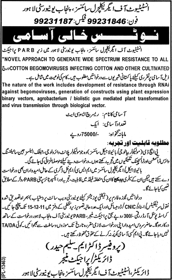 Institution of Agricultural Sciences, Punjab University Lahore Required Research Associate