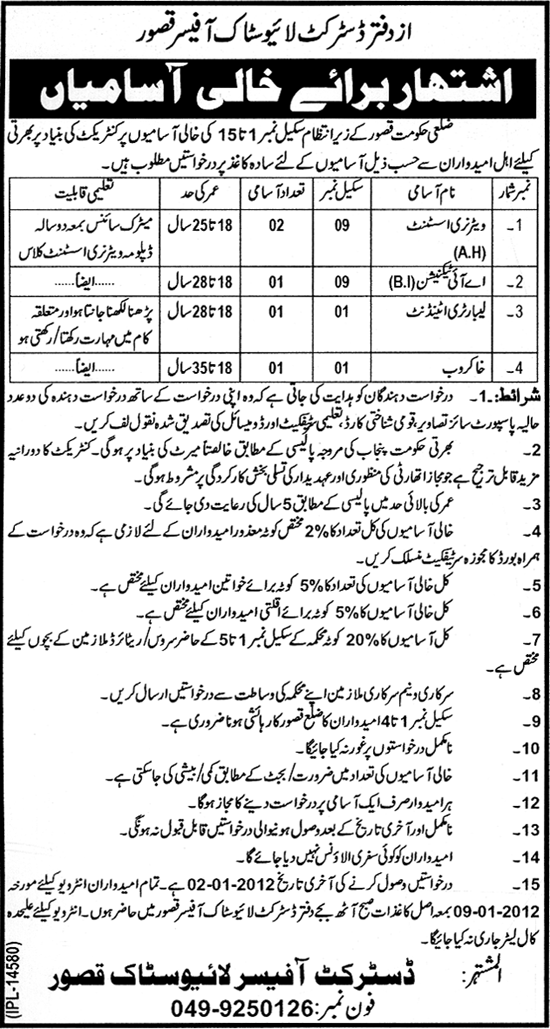 District Government Kasur Jobs Opportunities