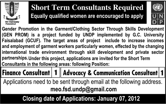 UNDP Required Short Term Consultants
