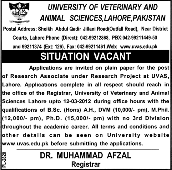 University of Veterinary and Animal Sciences, Lahore Pakistan Required Research Associate