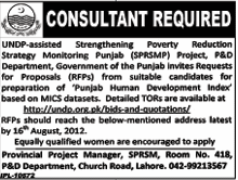 Consultant Required by Punjab Human Development Index based on MICS (Government Job)