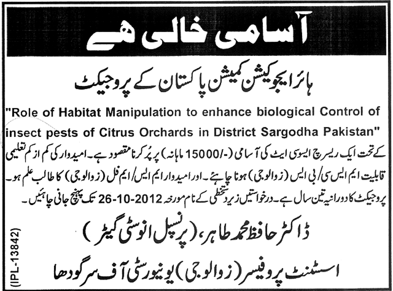 Research Associate Job in University of Sargodha for Higher Education Commission (HEC) Project