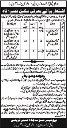 Government Degree College for Women Chowk Azam Layyah Jobs 2012