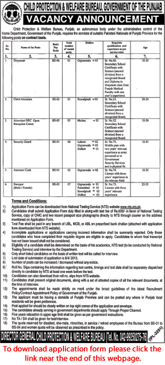 Child Protection and Welfare Bureau Punjab Jobs 2015 March NTS Application Form Download Latest