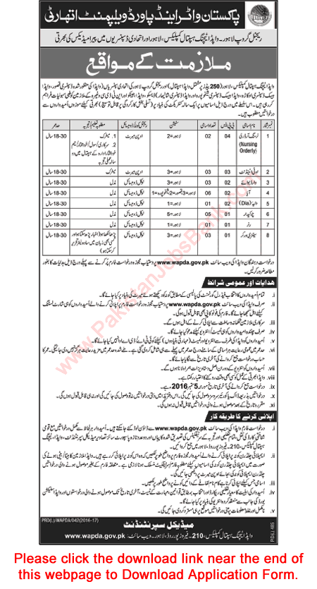 WAPDA Hospital Lahore & Allied Dispensaries Jobs 2016 August Application Form Download Latest