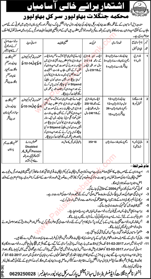 Forest Department Punjab Jobs 2017 Bahawalpur Circle Forest Guards, Foresters & Mali Latest