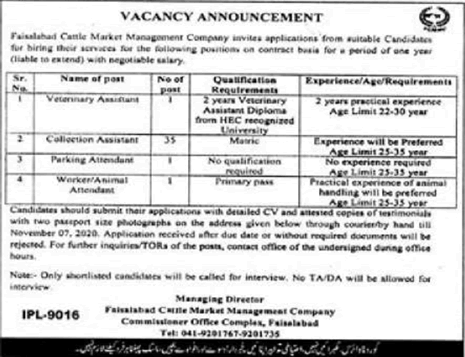 Faisalabad Cattle Market Management Company Jobs 2020 October CMMC Collection Assistants & Others Latest