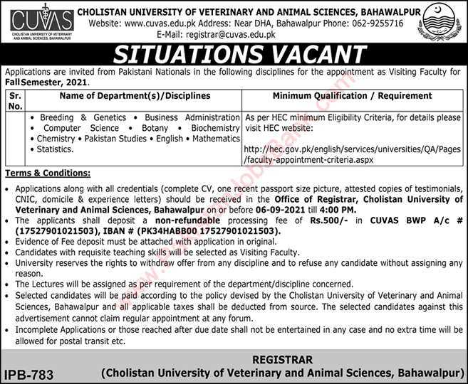 Visiting Faculty Jobs in Cholistan University of Veterinary and Animal Sciences Bahawalpur August 2021 Latest