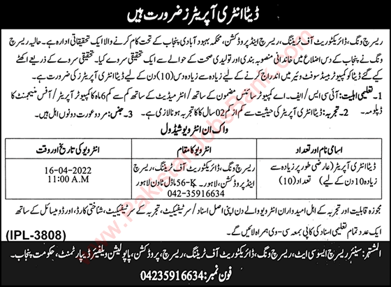 Data Entry Operator Jobs in Population Welfare Department Punjab April 2022 Walk in Interview Latest