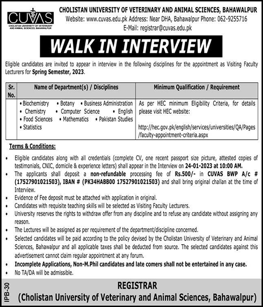 Visiting Faculty Jobs in Cholistan University of Veterinary and Animal Sciences Bahawalpur 2023 Lecturers Walk in Interview Latest