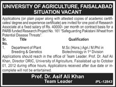 Research Associate Required at University of Agriculture Faisalabad (Government Job)