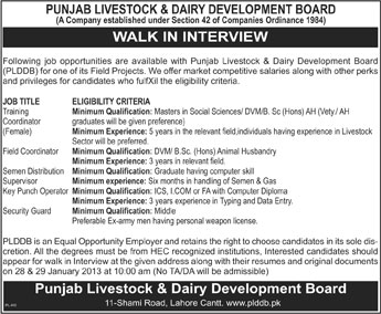 PLDDB Punjab Livestock & Dairy Development Board Jobs 2013 Walk in Interviews