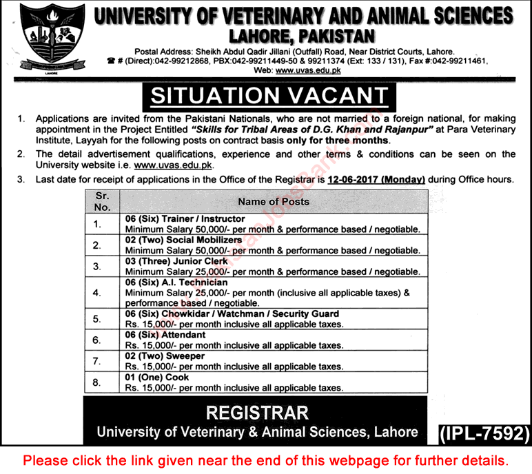 University of Veterinary and Animal Sciences Lahore Jobs June 2017 UVAS Para Veterinary Institute Layyah Latest