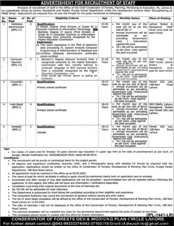 Forest Department Punjab Jobs 2022 February Conservator of Forest Development and Working Plan Circle Latest