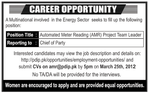 Project Team Leader Jobs in Multinational (Energy Sector) Company