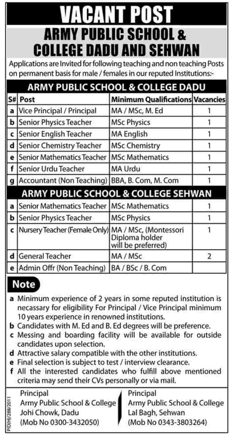 Army Public School & College Dadu and Sehwan Job Opportunities