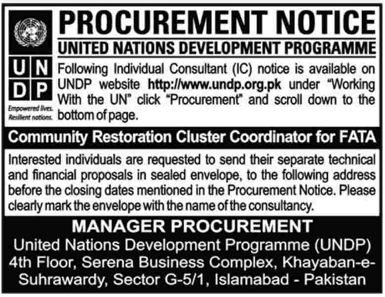 UNDP Required Consultant