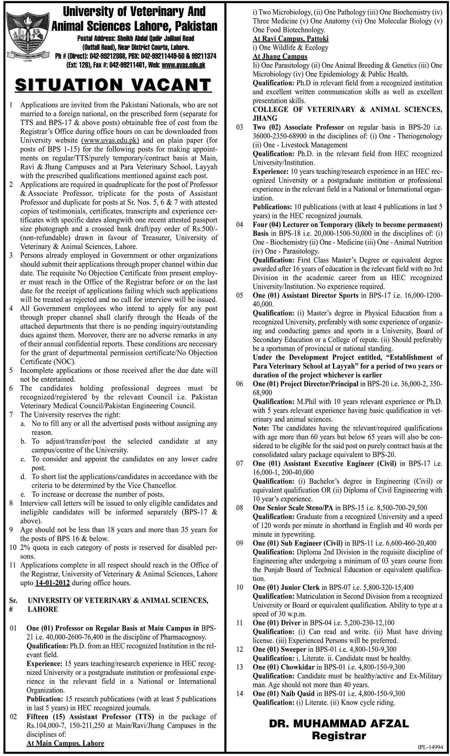 University of Veterinary and Animal Sciences Lahore, Pakistan Jobs Opportunity