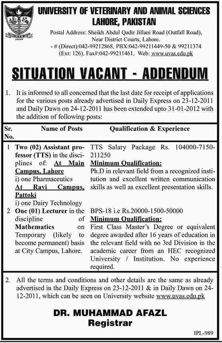 University of Veterinary and Animal Sciences Lahore, Pakistan Jobs Opportunity