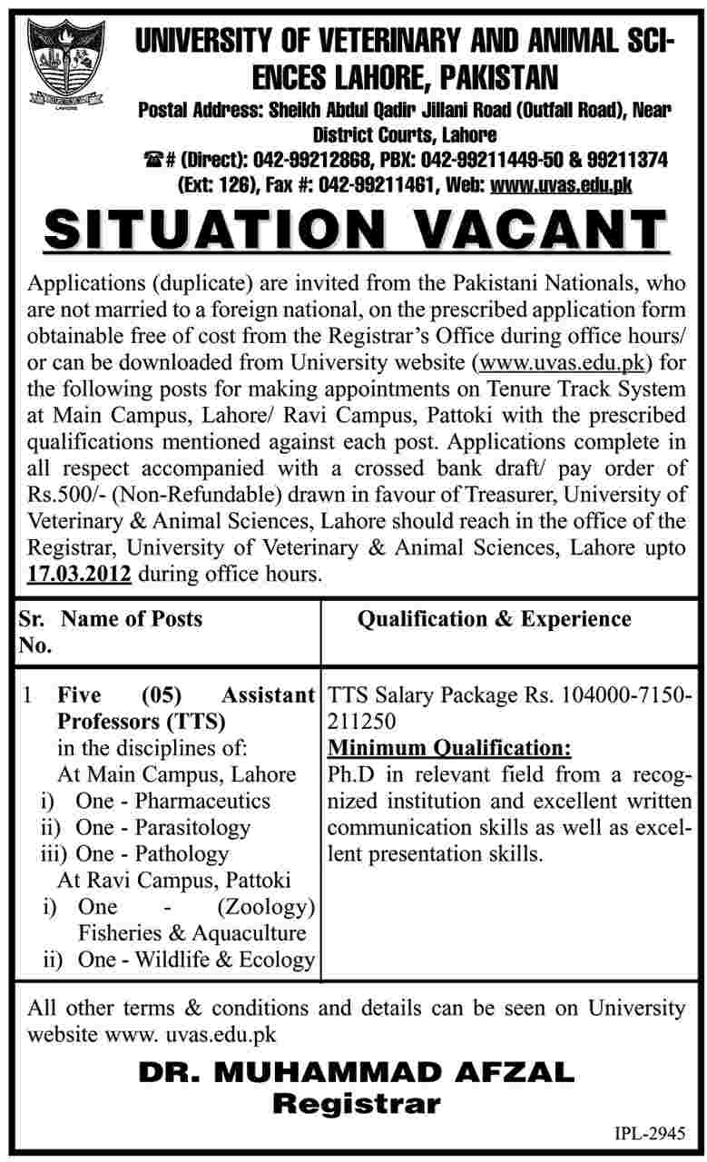 University of Veterinary and Animal Sciences, Lahore (Govt Jobs) Requires Staff